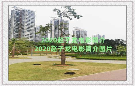 2020赵子龙电影简介 2020赵子龙电影简介图片